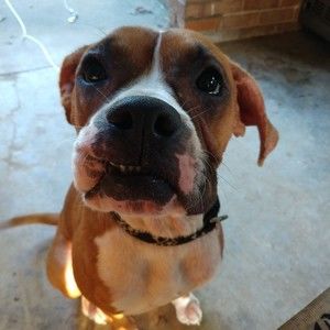 Meet your Posher, Savannah